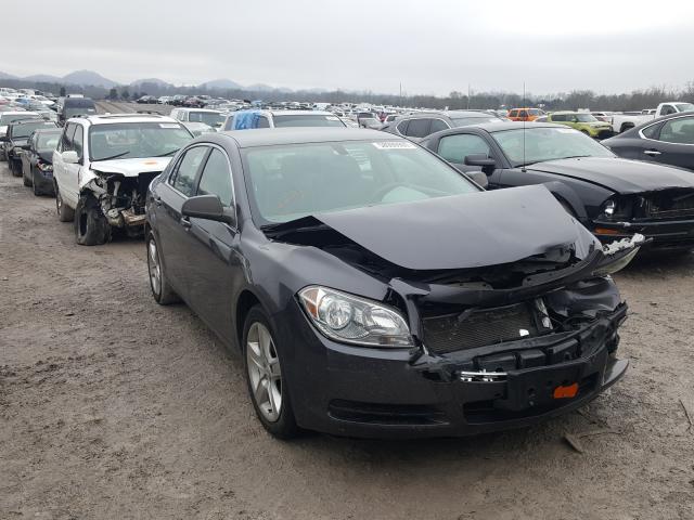 CHEVROLET MALIBU LS 2011 1g1za5e16bf312982