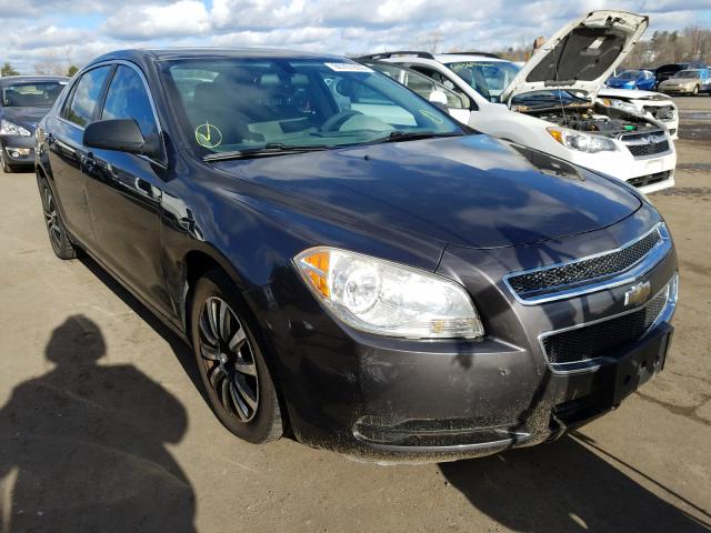 CHEVROLET MALIBU LS 2011 1g1za5e17bf271116