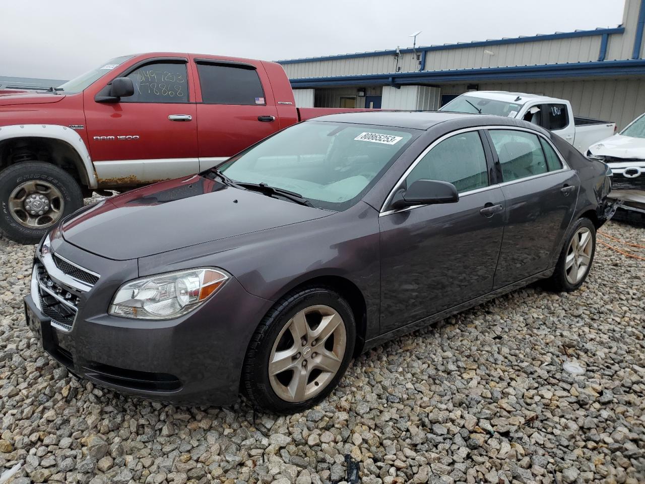 CHEVROLET MALIBU 2011 1g1za5e17bf345523