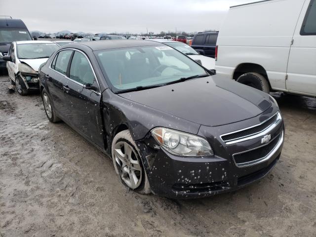 CHEVROLET MALIBU LS 2011 1g1za5e17bf346137