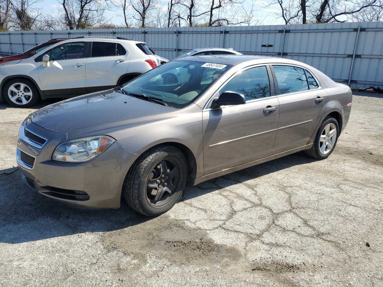 CHEVROLET MALIBU 2011 1g1za5e17bf393748