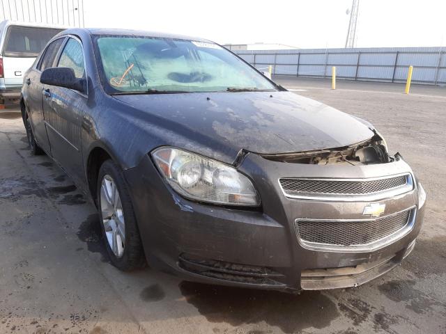 CHEVROLET MALIBU LS 2011 1g1za5e18bf145153