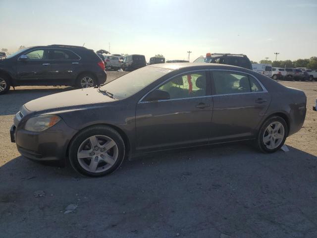 CHEVROLET MALIBU 2011 1g1za5e18bf145492