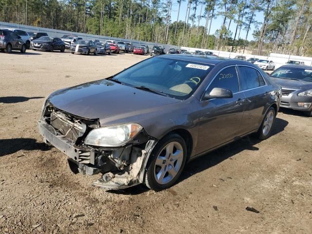 CHEVROLET MALIBU LS 2011 1g1za5e18bf229196