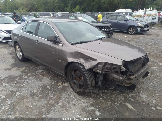 CHEVROLET MALIBU 2011 1g1za5e18bf341495