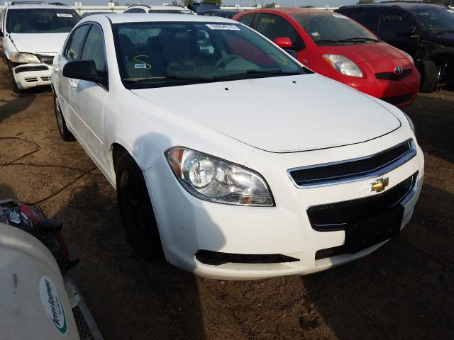 CHEVROLET MALIBU LS 2011 1g1za5e19bf110217