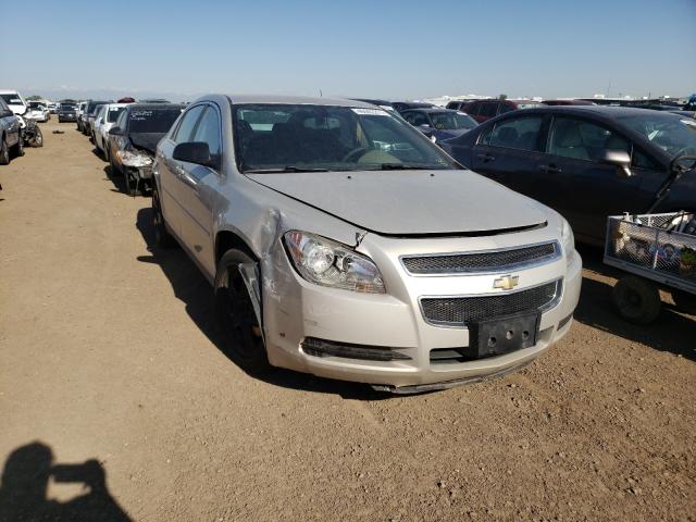 CHEVROLET MALIBU LS 2011 1g1za5e19bf138826