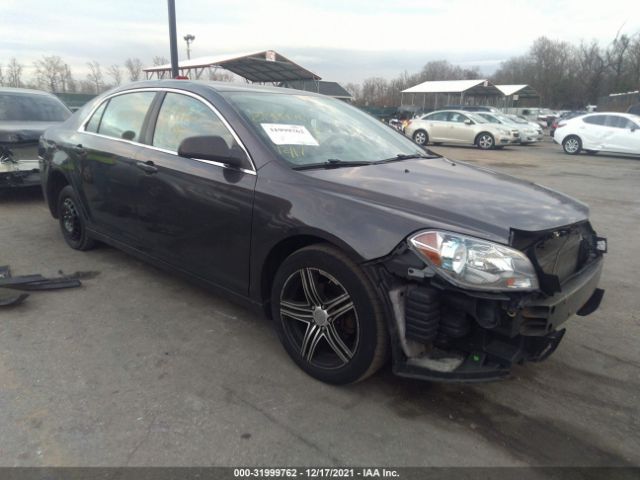 CHEVROLET MALIBU 2011 1g1za5e1xbf233556