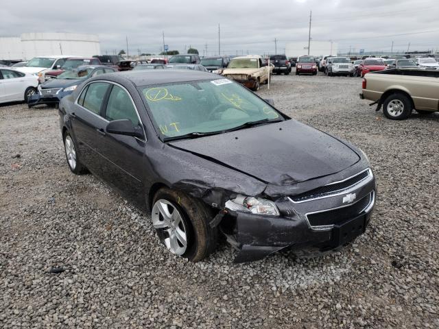 CHEVROLET MALIBU LS 2010 1g1za5eb0a4161947