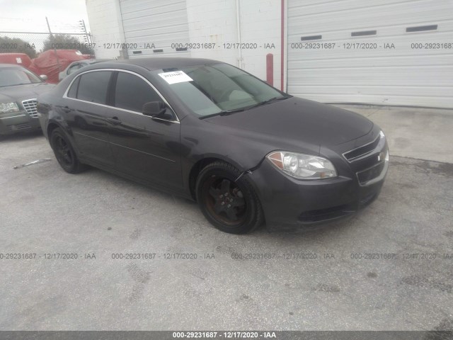 CHEVROLET MALIBU 2010 1g1za5eb0a4165271