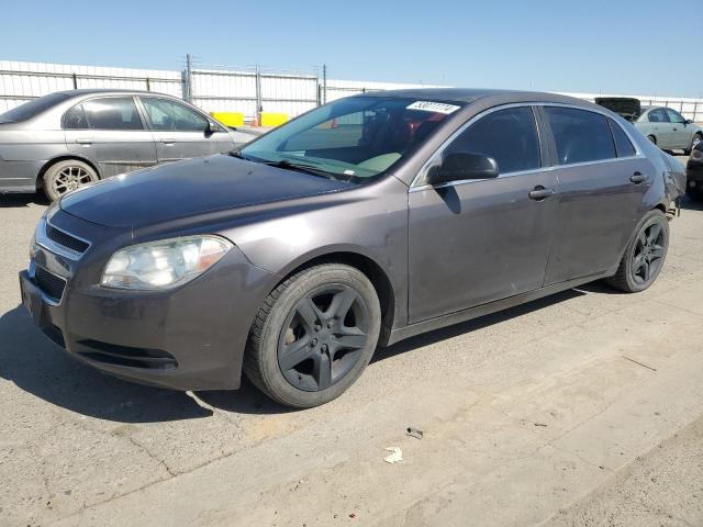 CHEVROLET MALIBU 2010 1g1za5eb0af299573