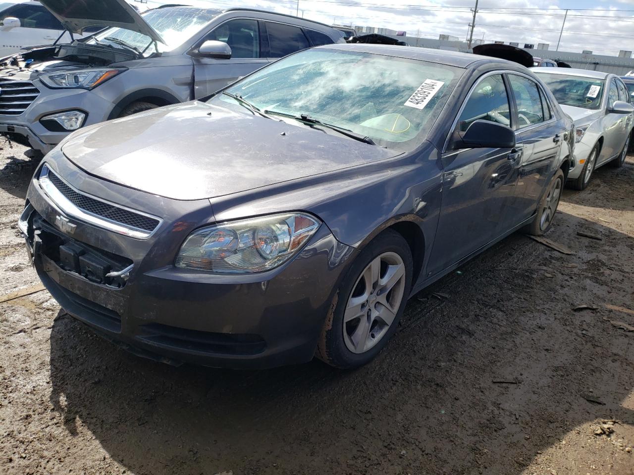 CHEVROLET MALIBU 2010 1g1za5eb1a4124860