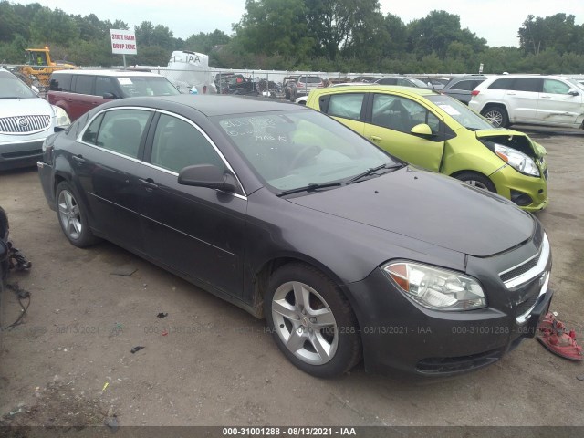 CHEVROLET MALIBU 2010 1g1za5eb1a4164114