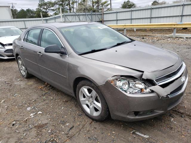 CHEVROLET MALIBU LS 2010 1g1za5eb1af281227