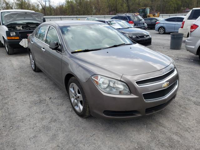 CHEVROLET MALIBU LS 2010 1g1za5eb2a4108943