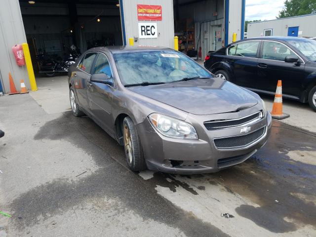 CHEVROLET MALIBU LS 2010 1g1za5eb2af185669