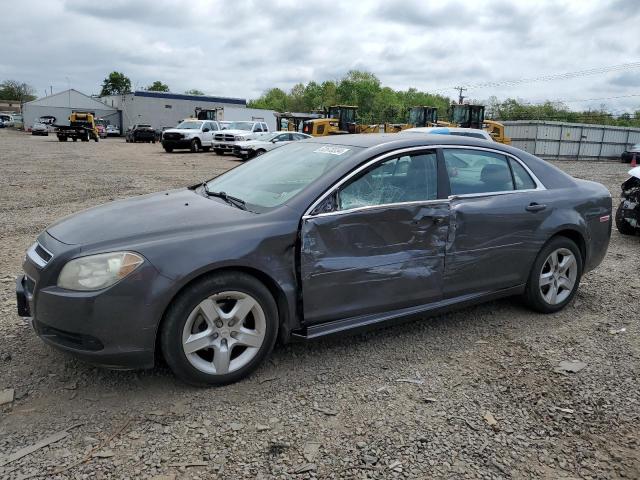 CHEVROLET MALIBU 2010 1g1za5eb3a4165202