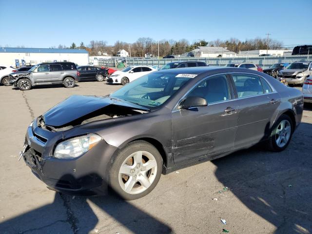 CHEVROLET MALIBU 2010 1g1za5eb3af216170