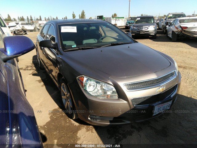 CHEVROLET MALIBU 2010 1g1za5eb4af111704