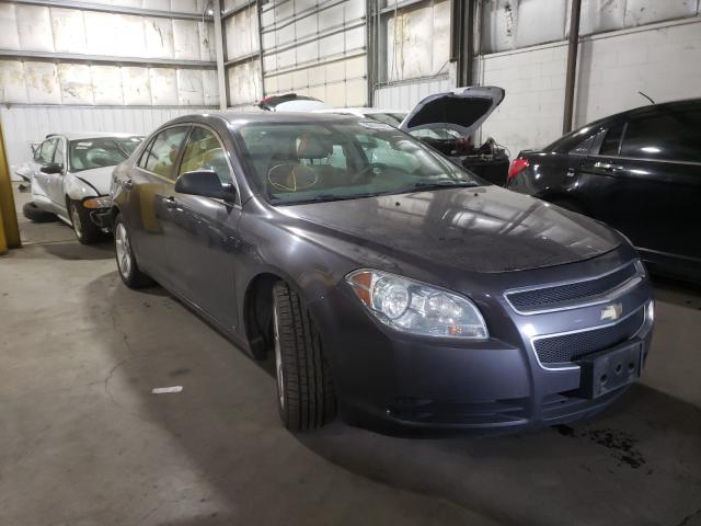 CHEVROLET MALIBU LS 2010 1g1za5eb5a4123291