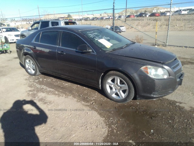 CHEVROLET MALIBU 2010 1g1za5eb5a4155366