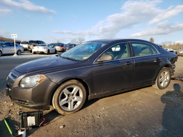 CHEVROLET MALIBU LS 2010 1g1za5eb6a4110405