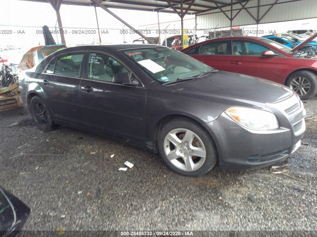 CHEVROLET MALIBU 2010 1g1za5eb6a4161886