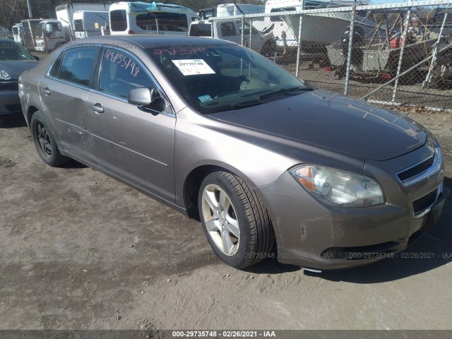 CHEVROLET MALIBU 2010 1g1za5eb6af256131