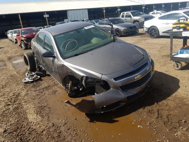 CHEVROLET MALIBU LS 2010 1g1za5eb6af282163