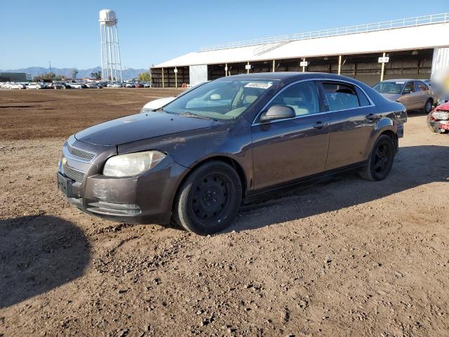 CHEVROLET MALIBU LS 2010 1g1za5eb7af278512