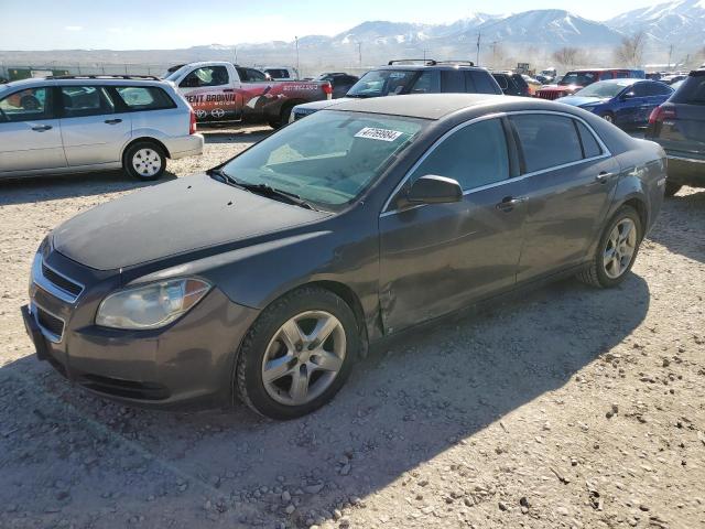 CHEVROLET MALIBU 2010 1g1za5eb8a4103701