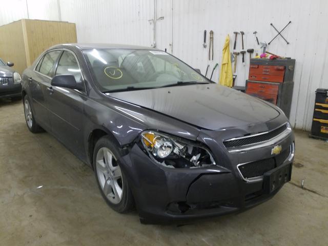 CHEVROLET MALIBU LS 2010 1g1za5eb8a4162067