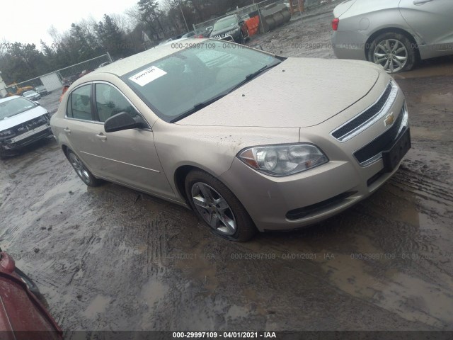 CHEVROLET MALIBU 2010 1g1za5eb8af227164