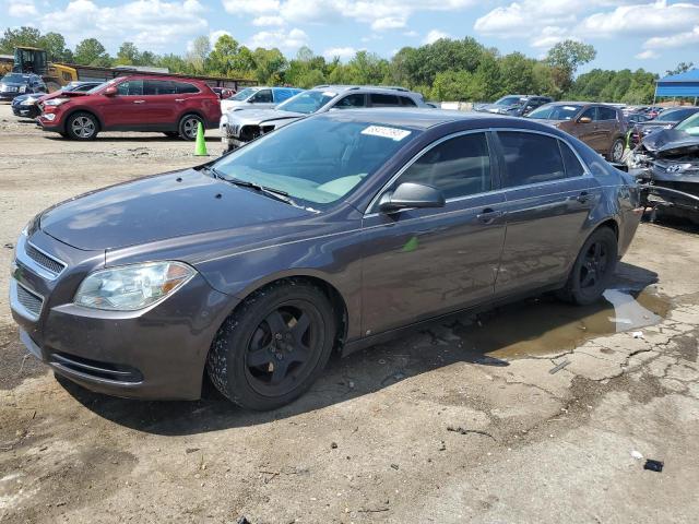 CHEVROLET MALIBU 2010 1g1za5eb9a4112780