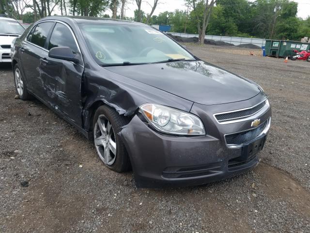 CHEVROLET MALIBU LS 2010 1g1za5eb9af238724