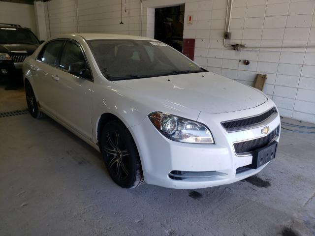 CHEVROLET MALIBU LS 2010 1g1za5ebxa4100668