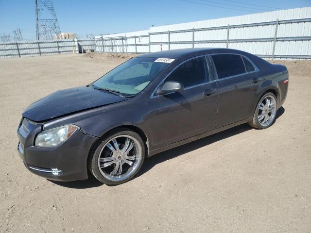 CHEVROLET MALIBU LS 2010 1g1za5ebxa4121570