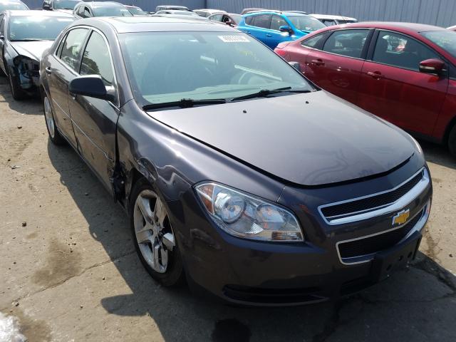 CHEVROLET MALIBU LS 2010 1g1za5ebxa4162118