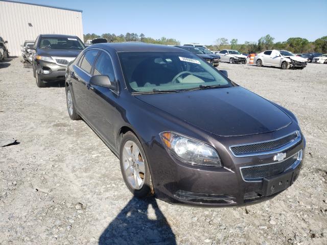 CHEVROLET MALIBU LS 2010 1g1za5ebxa4163561