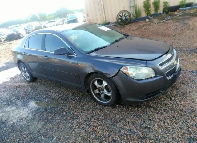 CHEVROLET MALIBU 2010 1g1za5ebxaf289746