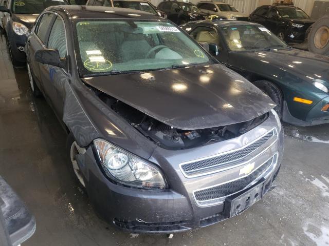 CHEVROLET MALIBU LS 2011 1g1za5eu0bf151250