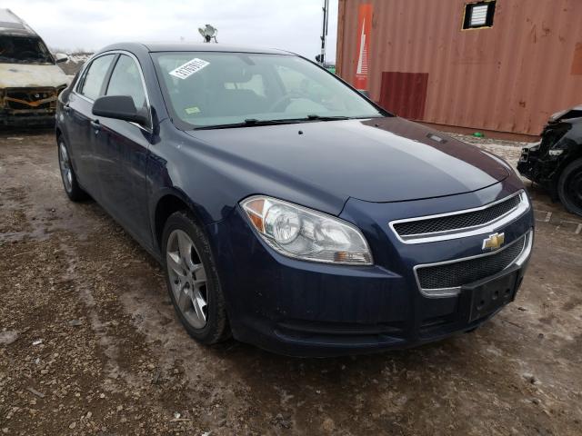 CHEVROLET MALIBU LS 2011 1g1za5eu0bf163642