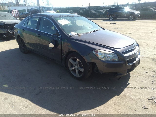 CHEVROLET MALIBU 2011 1g1za5eu0bf343199