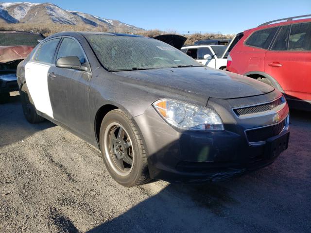 CHEVROLET MALIBU LS 2011 1g1za5eu0bf348659