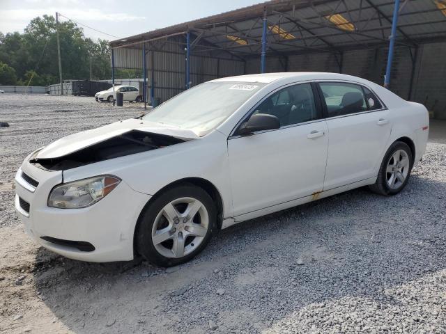 CHEVROLET MALIBU LS 2012 1g1za5eu0cf200013