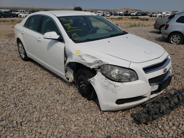 CHEVROLET MALIBU LS 2012 1g1za5eu0cf317753