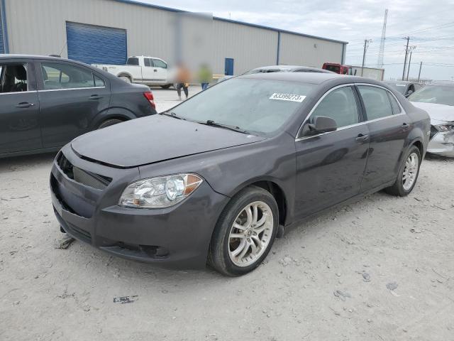 CHEVROLET MALIBU LS 2011 1g1za5eu1bf137356