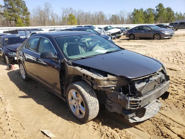 CHEVROLET MALIBU LS 2011 1g1za5eu1bf144744