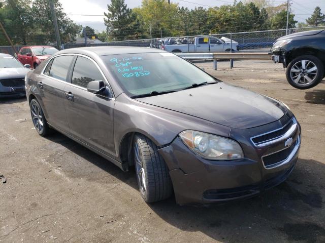 CHEVROLET MALIBU LS 2011 1g1za5eu1bf150852