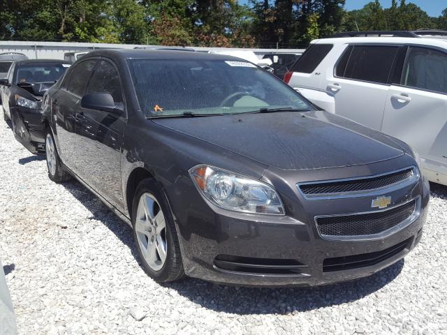 CHEVROLET MALIBU LS 2011 1g1za5eu1bf231513